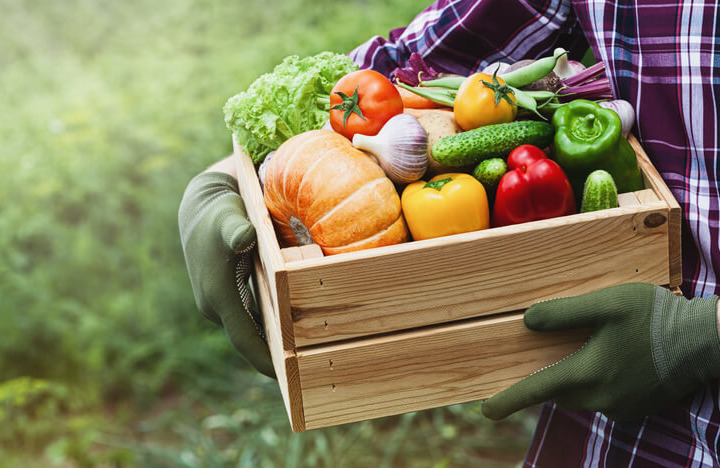 I consigli per un l'alimentazione biologica del dott. Berrino 