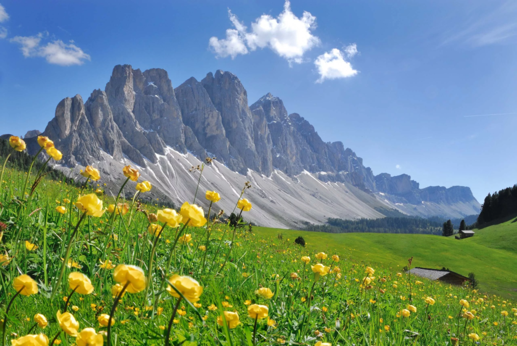 Dolomiti Val di Funes giganti di pietra le Odle