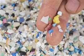 Inquinamento del mare le microplastiche 