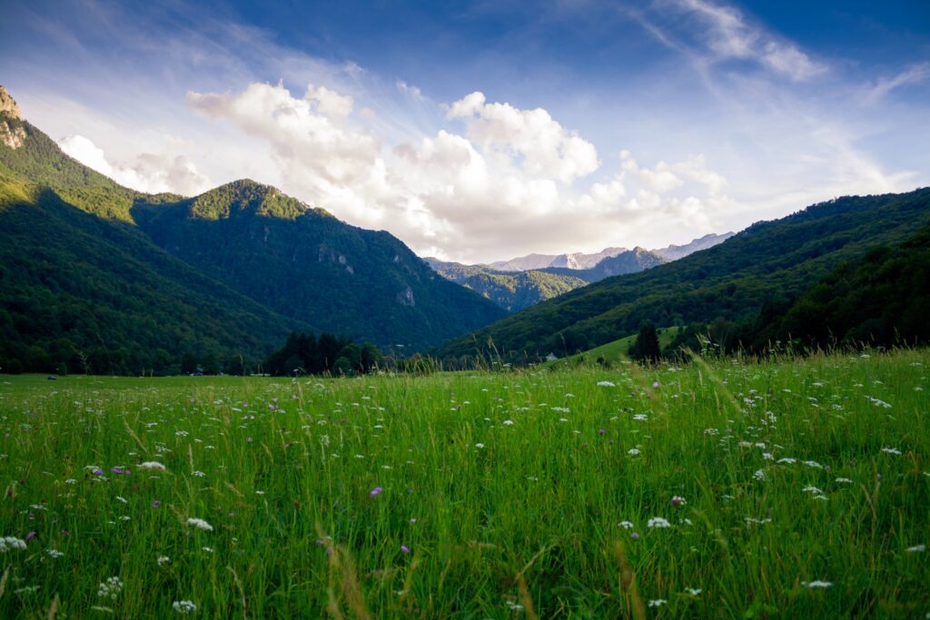 I benefici della natura contro ansia e stress