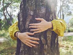 Natura benefici e benessere, biofilia