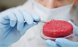 Carne sintetica proteine e innovazione